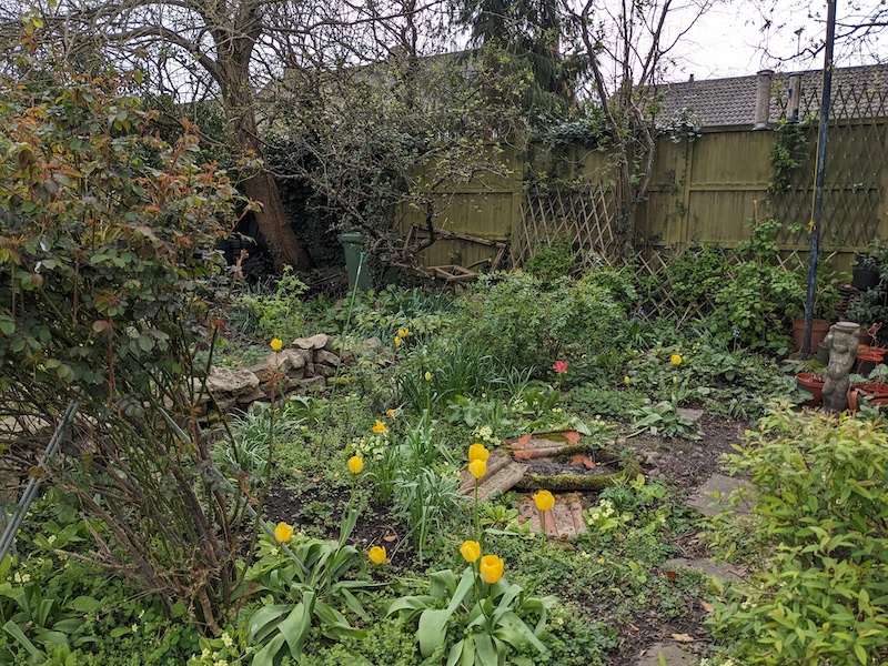 garden image